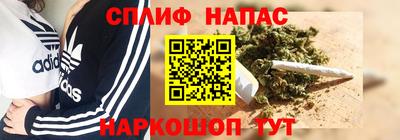 ГАЛЛЮЦИНОГЕННЫЕ ГРИБЫ Нальчик
